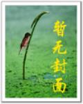 遺憾的1884