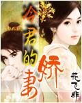 冷君的嬌妻